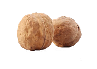 薄皮山核桃食物