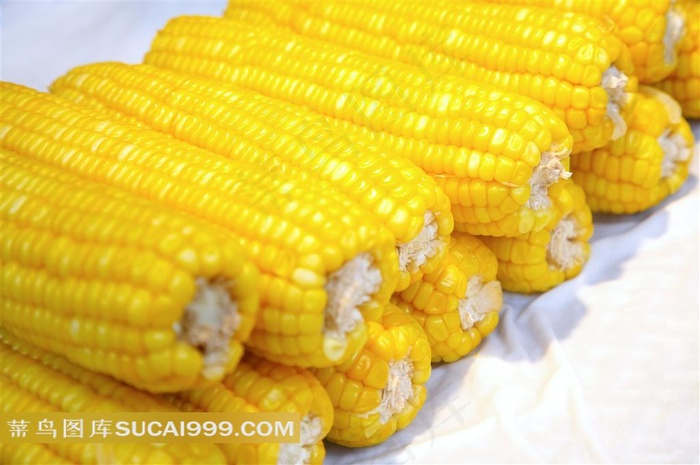 玉米棒高清摄影图片