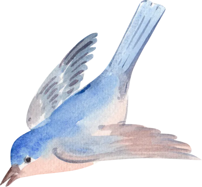 插画免抠高清素材