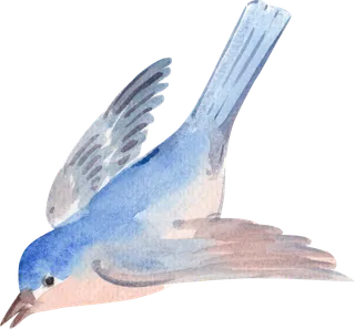 插画免抠高清素材