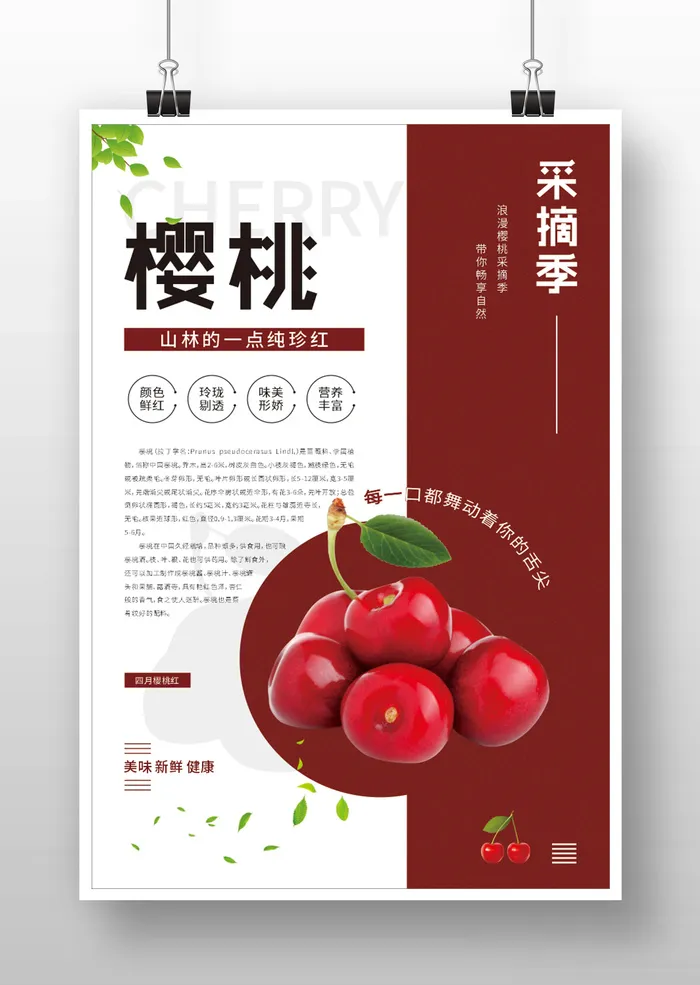 樱桃采摘季