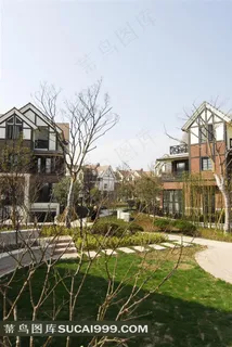 欧式别墅建筑小区景观 欧式别墅建筑小区景观