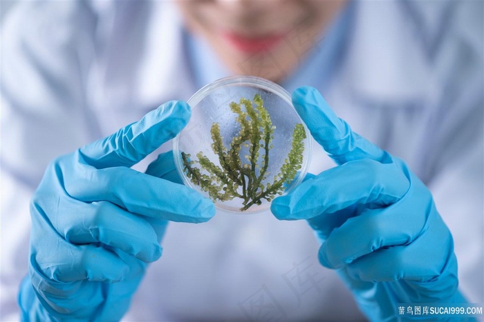 正的搞科研的科学家图片