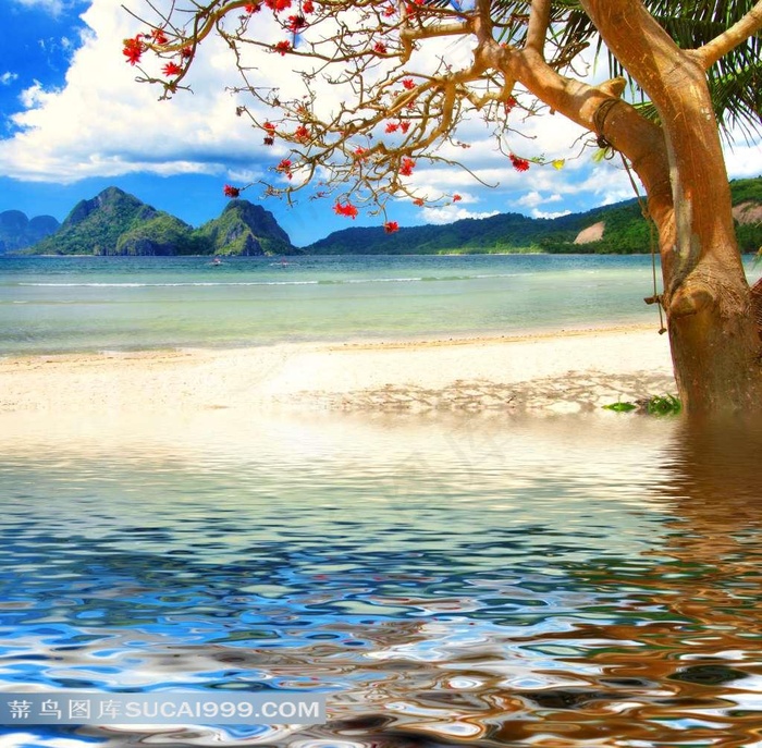 湖边大树唯美风景图片