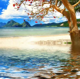 湖边大树唯美风景图片 湖边大树唯美风景图片