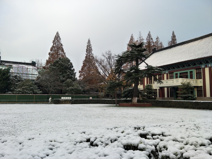 雪后的景色