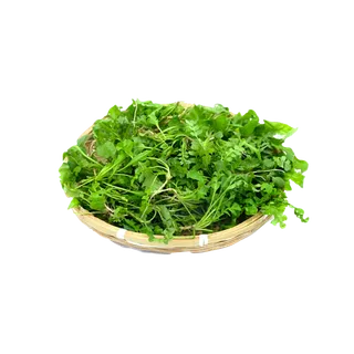 刚摘的新鲜荠菜插图