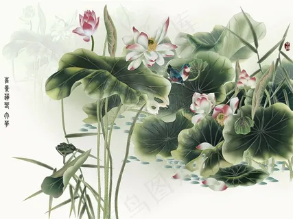 工笔画荷花图 工笔画荷花图