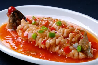 XCXC0771大热-松鼠鱼