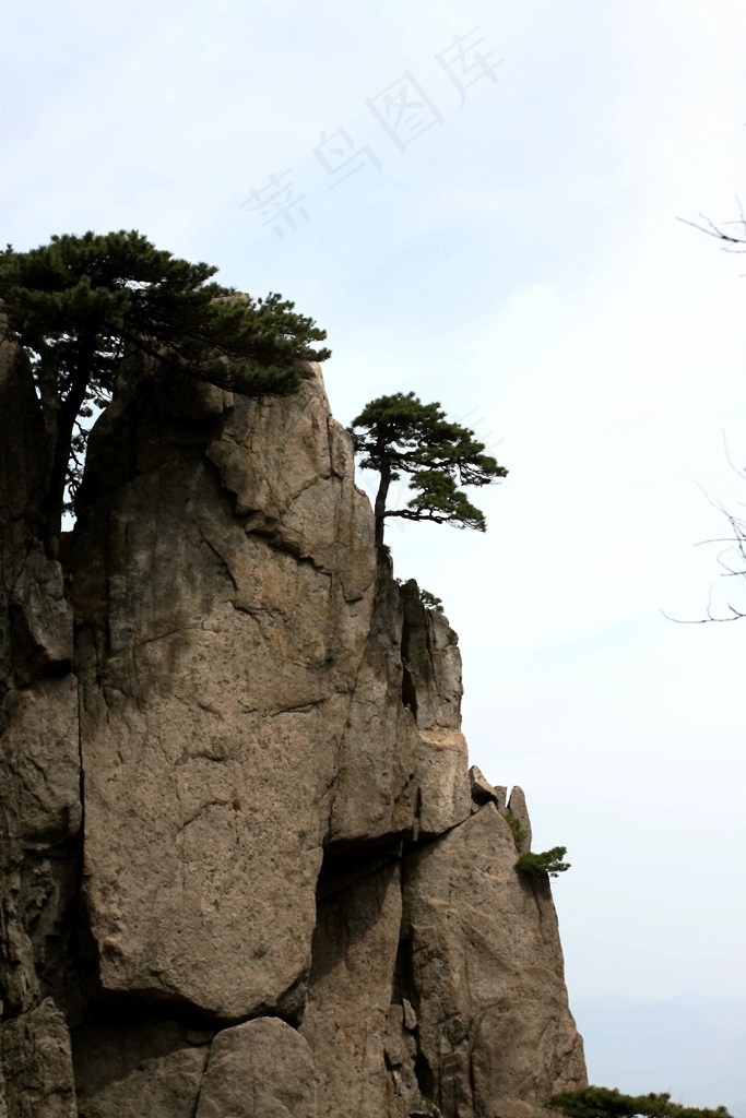 山峰石壁上的迎客松