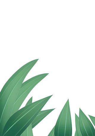 叶子绿叶免抠