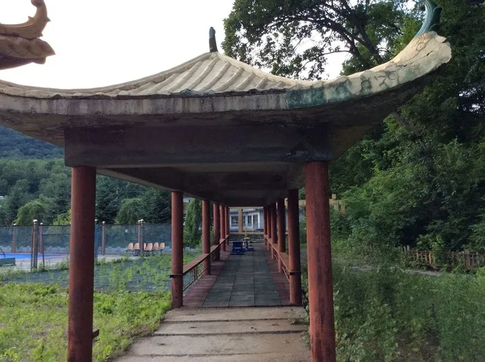 树林中的观景亭