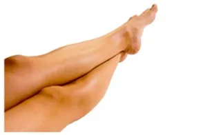 腿PNG图像，腿PNG免抠