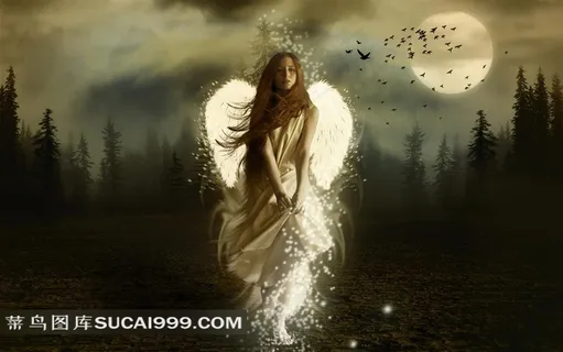 森林月色下的翅膀天使长发美女壁纸素材