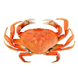 螃蟹(29)海鲜超市商品红酒白底图免抠实物摄影png格式图片透明底