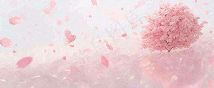 春天粉色樱花浪漫树枝花瓣花朵，阳光清新立春(1712x704)
