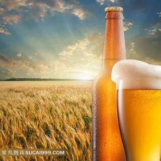 冰镇啤酒图片