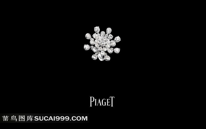 伯爵钻石首饰素材