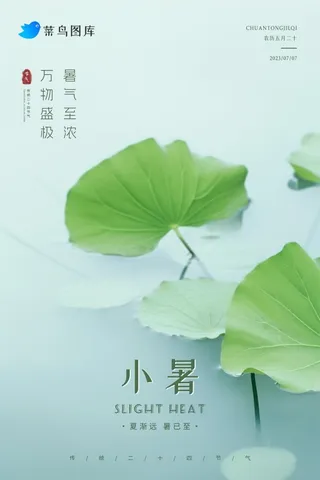 小暑节气简约清新绿色大气海报