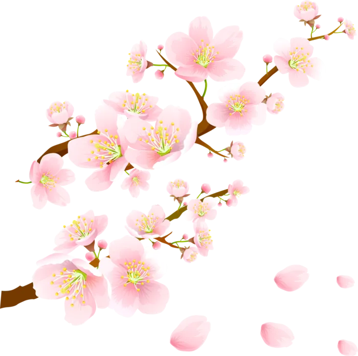 免抠粉色花朵 