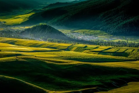 旷野旅行留念图片 旷野旅行留念图片