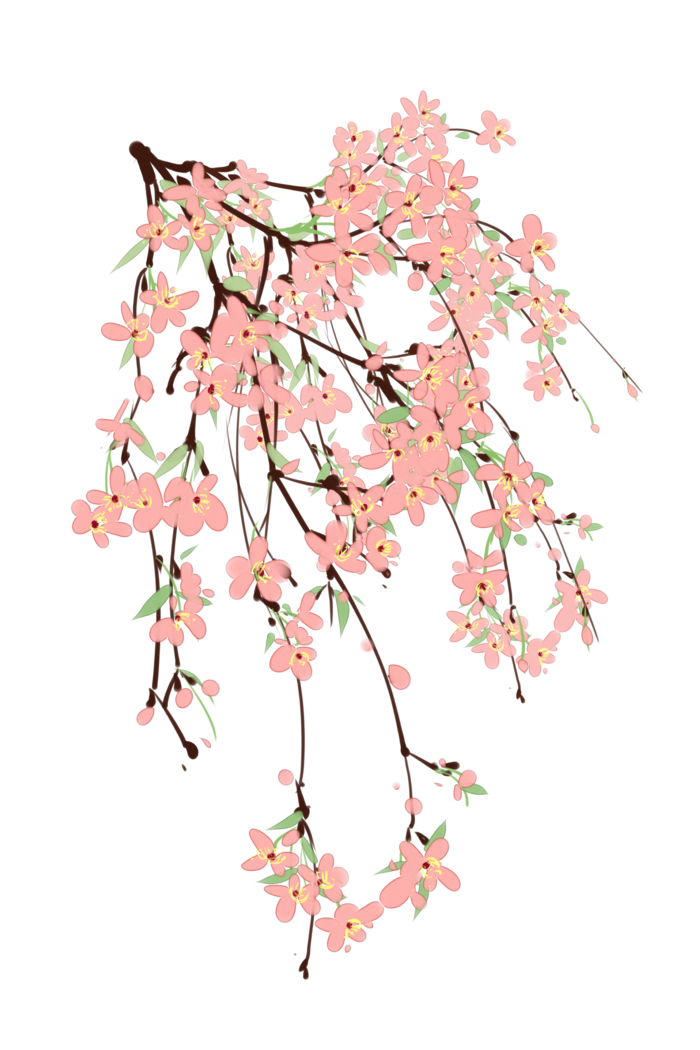 春天浪漫粉红色樱花手绘樱花梅花桃花花朵图片PNG免扣素材