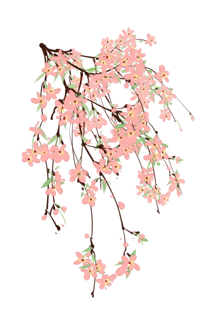 春天浪漫粉红色樱花手绘樱花梅花桃花花朵图片PNG免扣素材