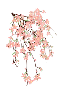 春天浪漫粉红色樱花手绘樱花梅花桃花花朵图片PNG免扣素材 春天浪漫粉红色樱花手绘樱花梅花桃花花朵图片PNG免扣素材