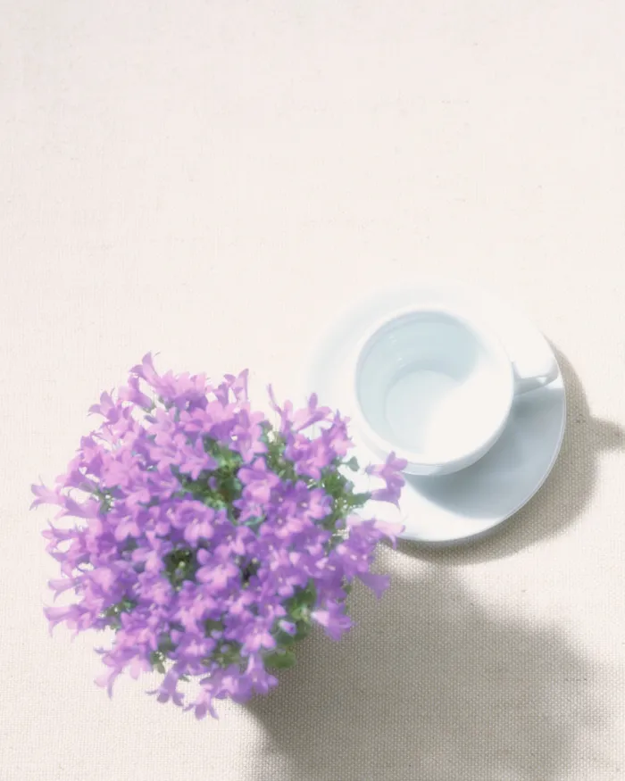 插花造型五一