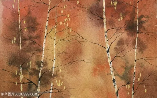 手绘水彩景色-桦树林.zip