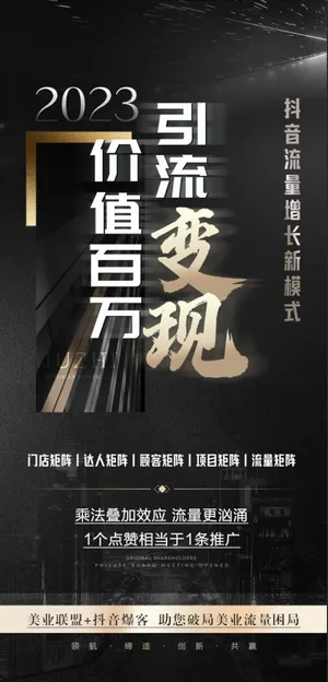 美业会议招商造势系列海报