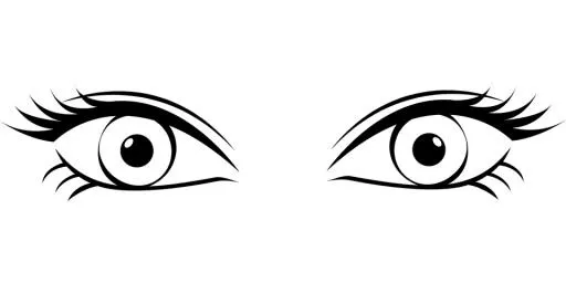 睫毛 PNG免抠(960x480)