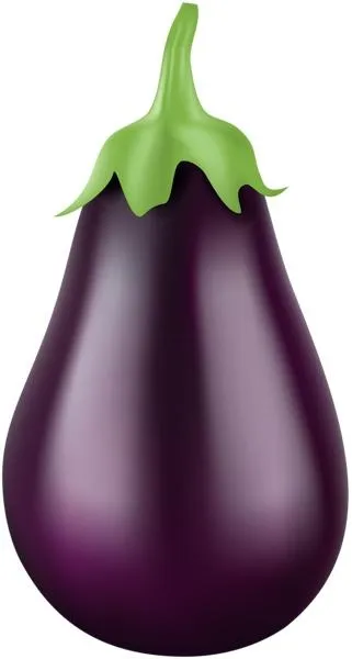茄子 PNG免抠(321x600)