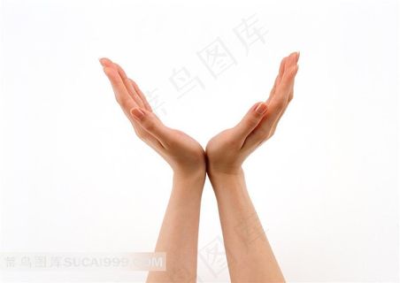 手势动作 托起保护动作手势手势图片