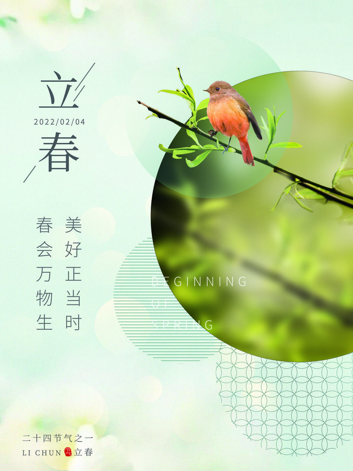 24节气立春春季新春春天海报模板PSD分层设计素材源文件模板