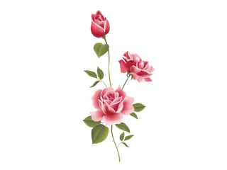 浪漫玫瑰情人节专属礼品免扣