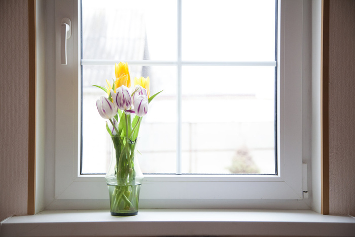 小清新窗台绿植特写近景场景(2)