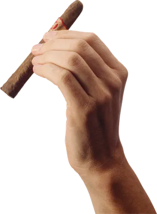 手拿雪茄免抠