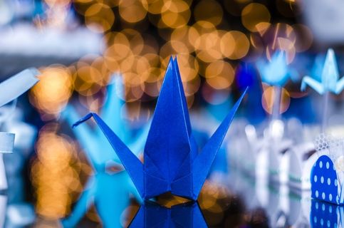 梦幻千纸鹤图片 梦幻千纸鹤图片