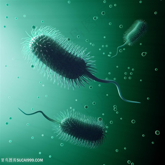 细菌病毒等微生物高清图