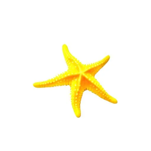 海星海洋免抠(2048x2048)