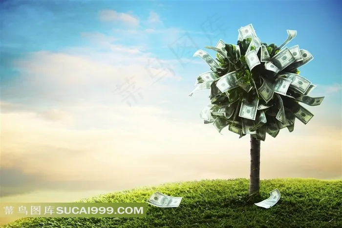 长满金钱的树创意素材