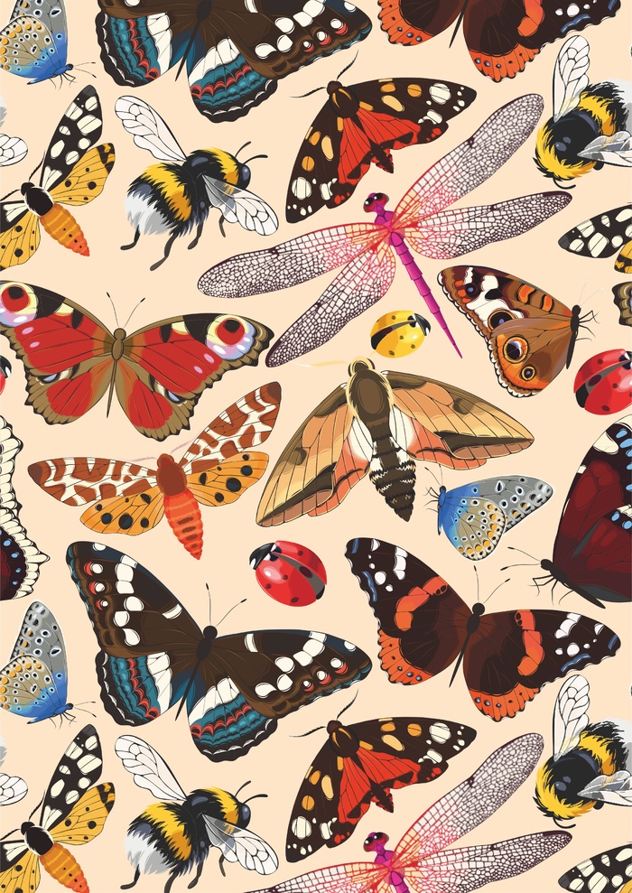 昆虫系 蜻蜓 飞蛾 蝴蝶 七星瓢虫 蜜蜂