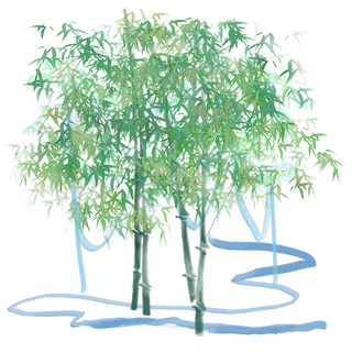 竹子水墨画中国风国画墨水书法竹子画