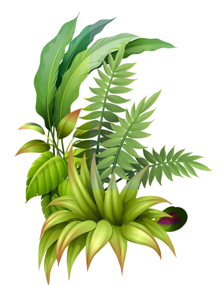 免抠热带绿色植物素材