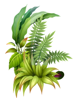 免抠热带绿色植物素材