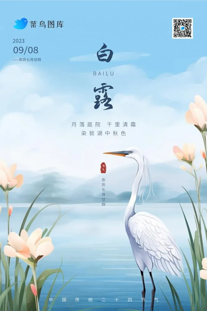白露国风清新白鹭山水节气海报(2362x3543)psd模版下载