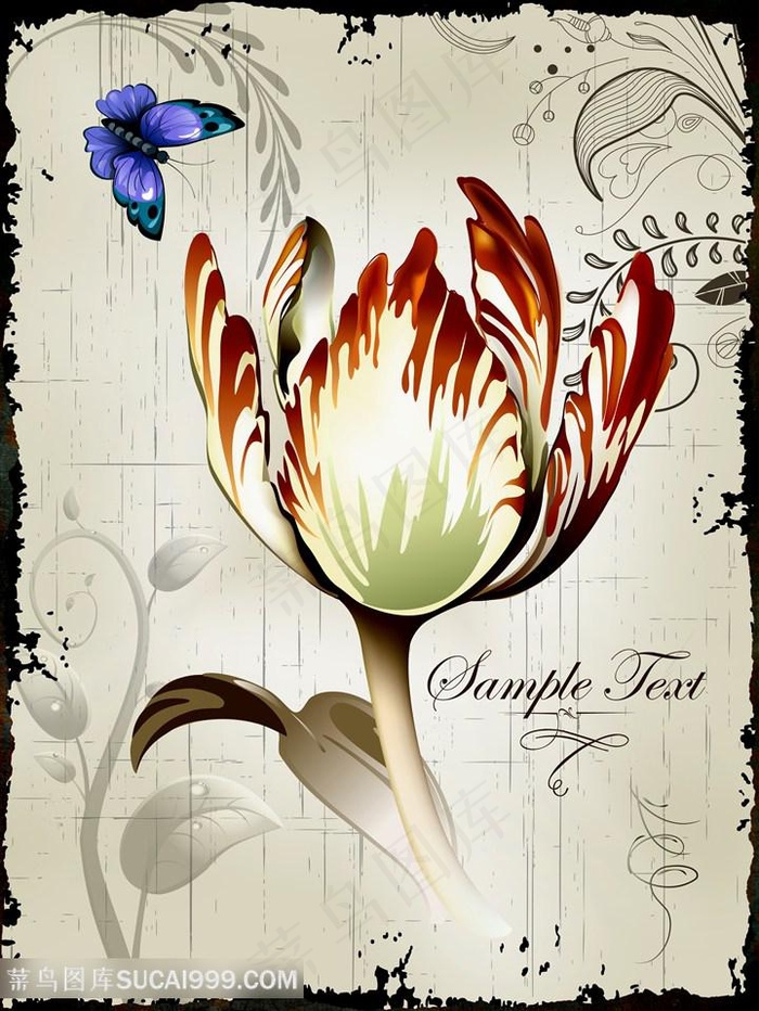 欧式花与蝴蝶装饰画