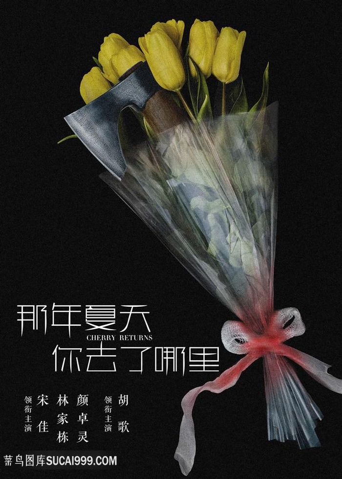 去年夏天你去了哪里电影海报