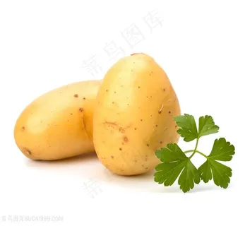 美味的土豆高清图 美味的土豆高清图